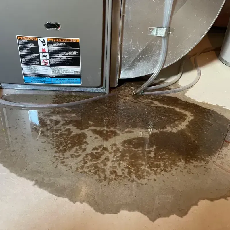 Appliance Leak Cleanup in Munford, AL